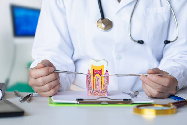 Best Emergency Dentist for Lost Fillings or Crowns in Parshall, ND